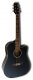 Renaissance RG7575EG Acoustic-Electric