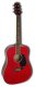 Renaissance RG7500 Acoustic
