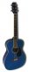 Renaissance RG7560 Folk Size Acoustic
