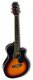 Renaissance RG7580EQ Small Body Acoustic-Electric