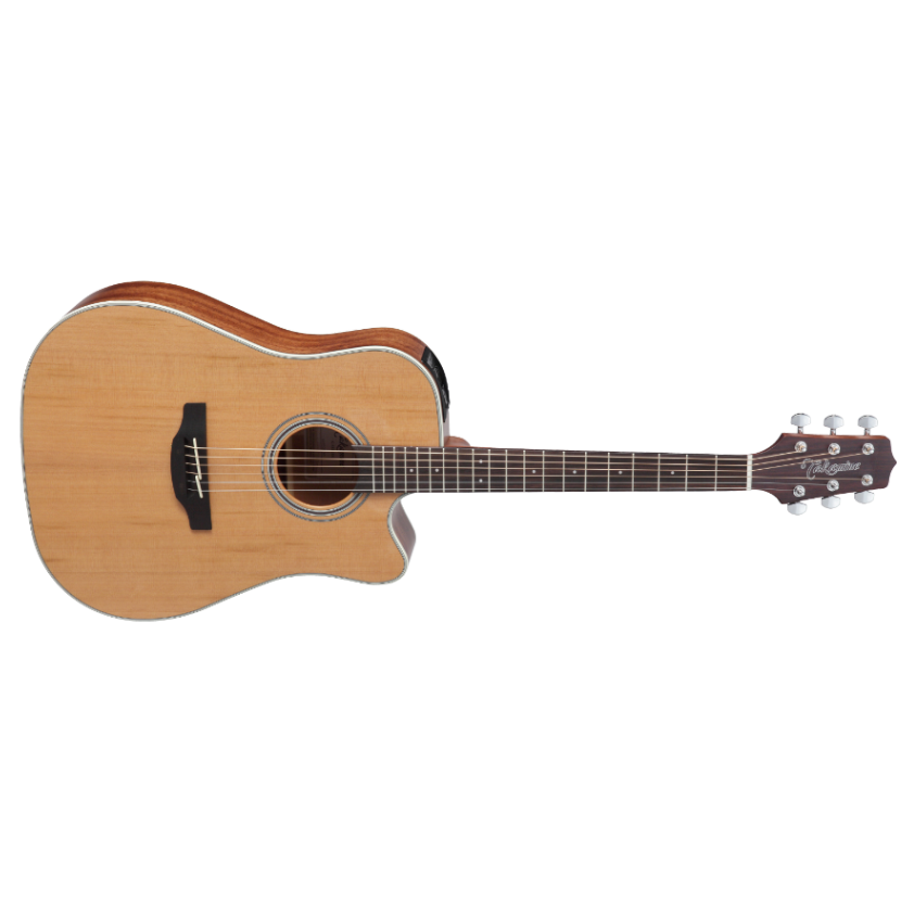Takamine GD20CE-NS Acoustic/Electric Guitar