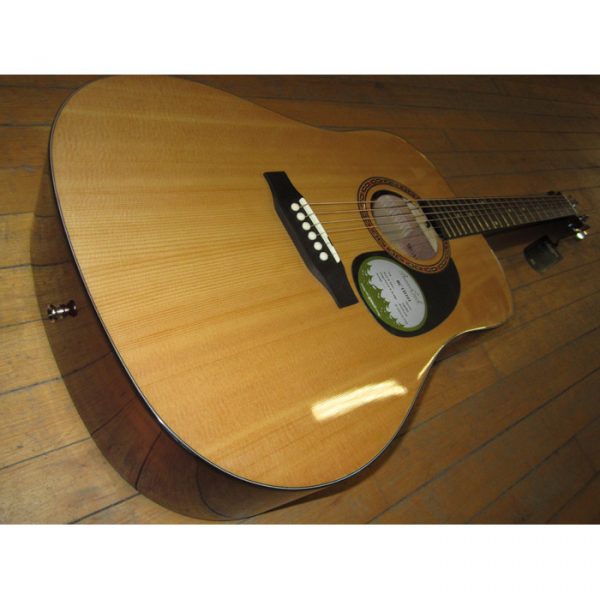 Beaver Creek BCTD101 Dreadnaught Acoustic Guitar