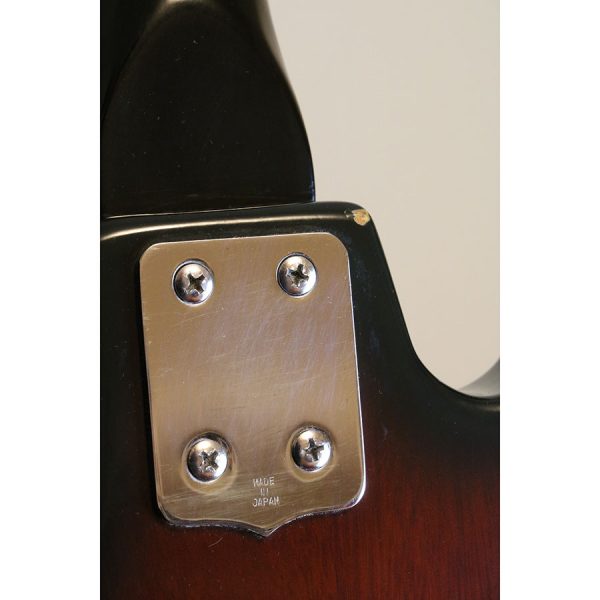 Teisco TRG-2 with Built-In Amp & it Works! circa 1964-65 - SOLD - Image 16