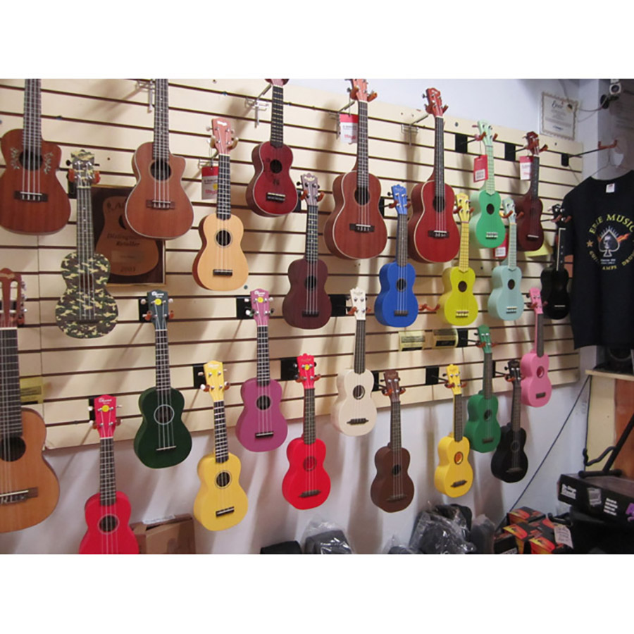 Music Store and Music Lessons in Southern Ontario Canada