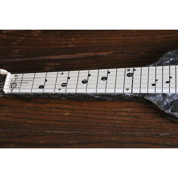National Chicagoan Lapsteel 1960 - SOLD - Image 5