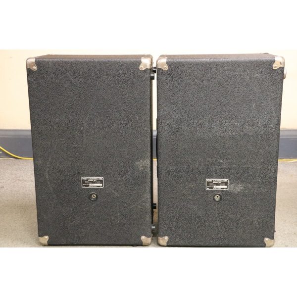 Peavey 210 Column 16-Ohm 70 Watt 2x10" Speaker Enclosure Black/Silver Pair - SOLD - Image 6