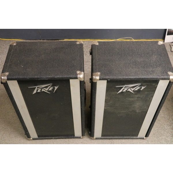 Peavey 210 Column 16-Ohm 70 Watt 2x10" Speaker Enclosure Black/Silver Pair - SOLD - Image 3