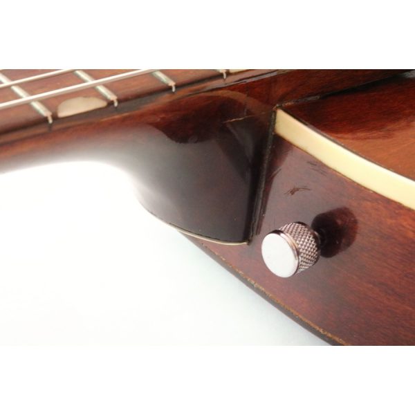 Gretsch 6113 Tennessean "non-Chet" model - 1961 - Image 17
