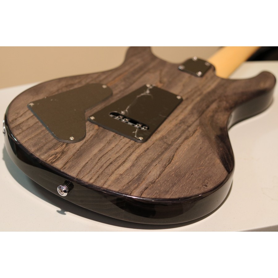 Paul Reed Smith PRS SE Swamp Ash Special - Image 15