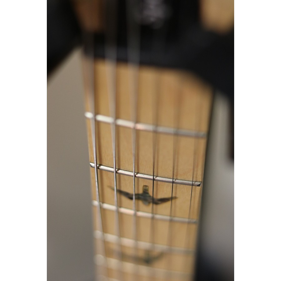 Paul Reed Smith PRS SE Swamp Ash Special - Image 11