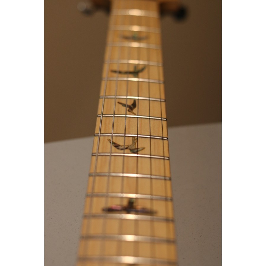 Paul Reed Smith PRS SE Swamp Ash Special - Image 12