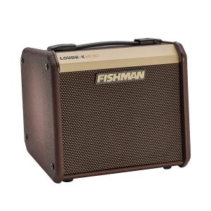 Fishman Loudbox Micro Acoustic Guitar Amplifier