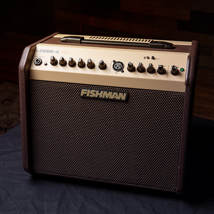 Fishman Loudbox Mini Acoustic Guitar Amplifier - Image 3
